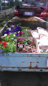 I'm going to be a busy little bee aren't I!