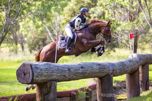 600_187648898275975_8403901973725113918_n