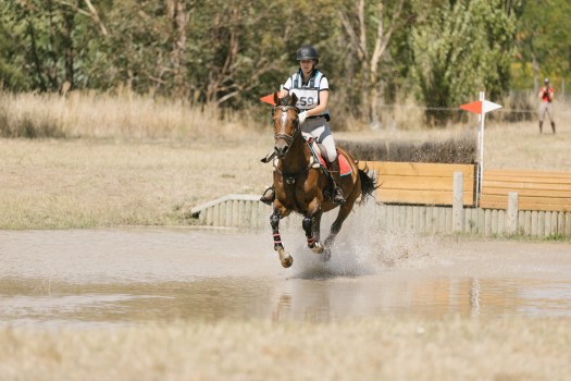 12.03 - NCHT XC-1838