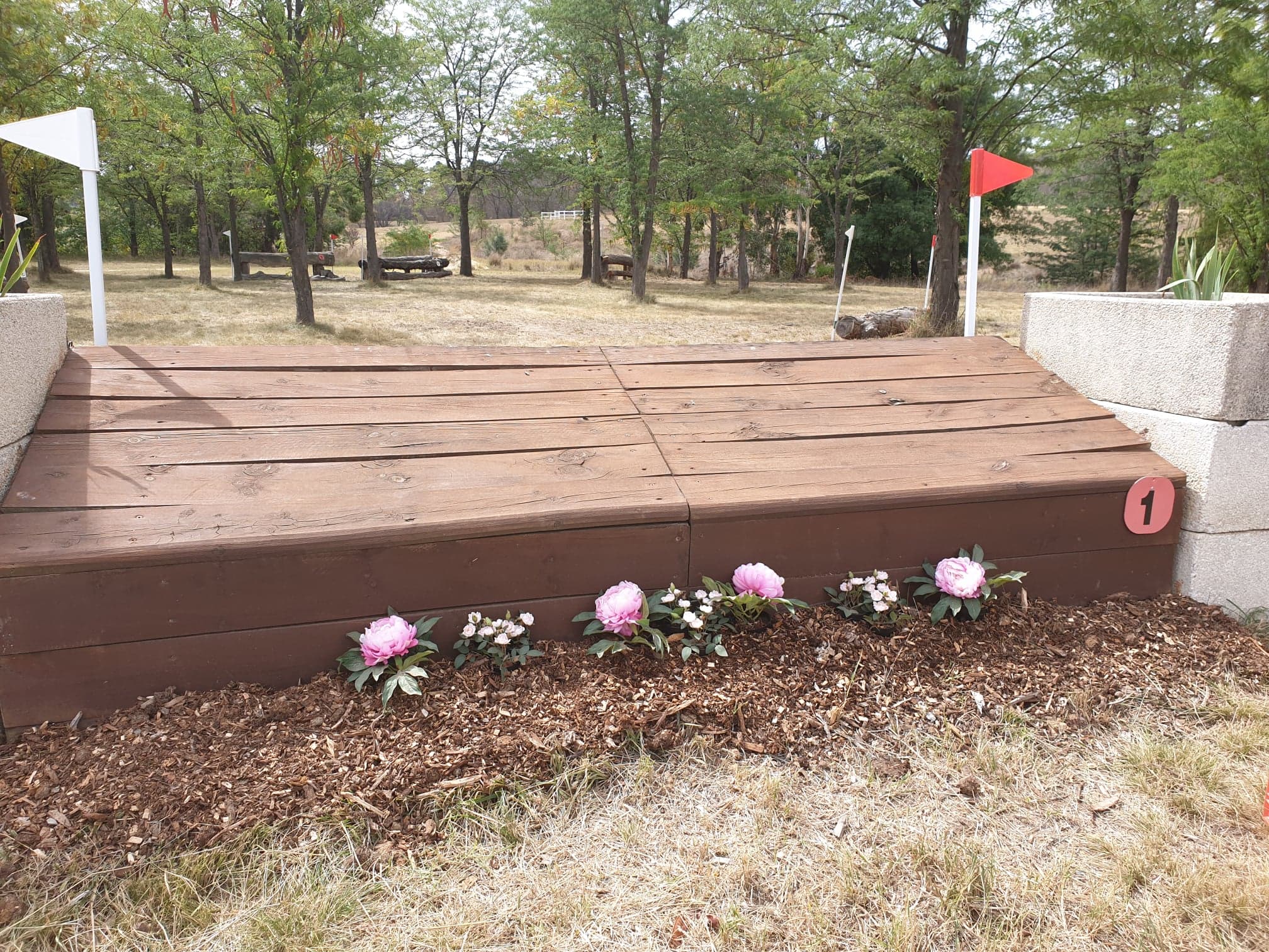 53674880_367834000736462_5583720762000277504_n