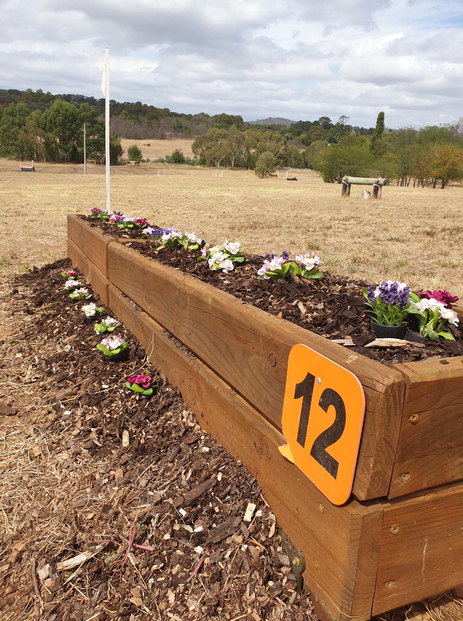 53764502_2851892291703424_7132490779301249024_n