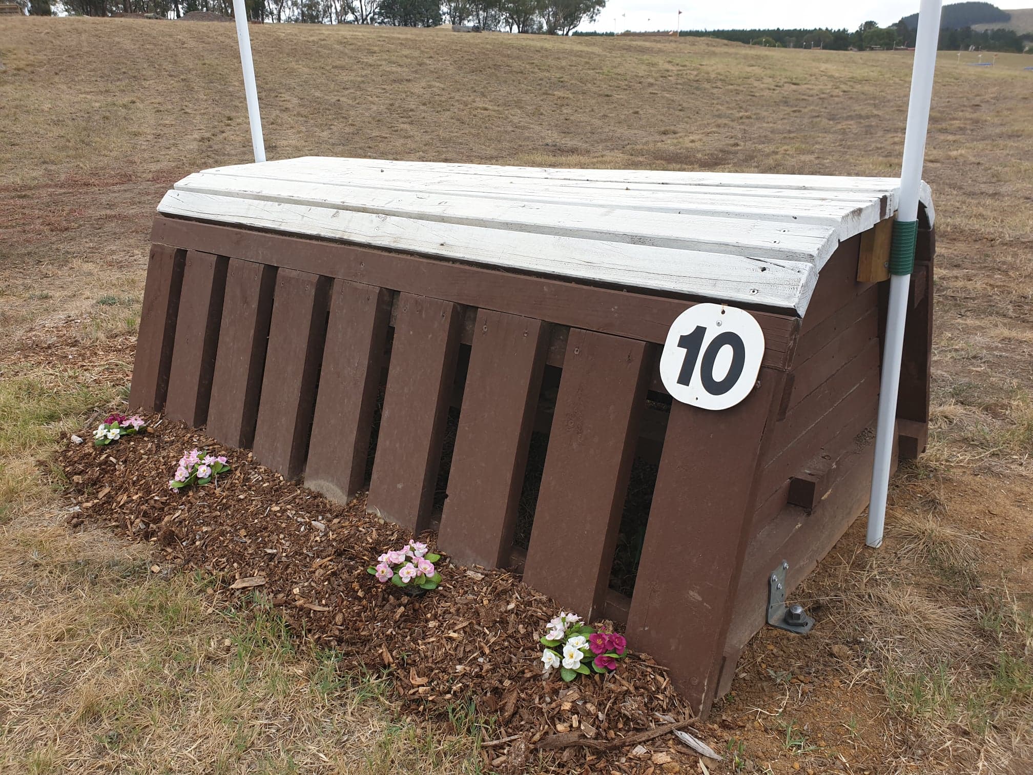 54257358_1811132158992253_4726648905528246272_n