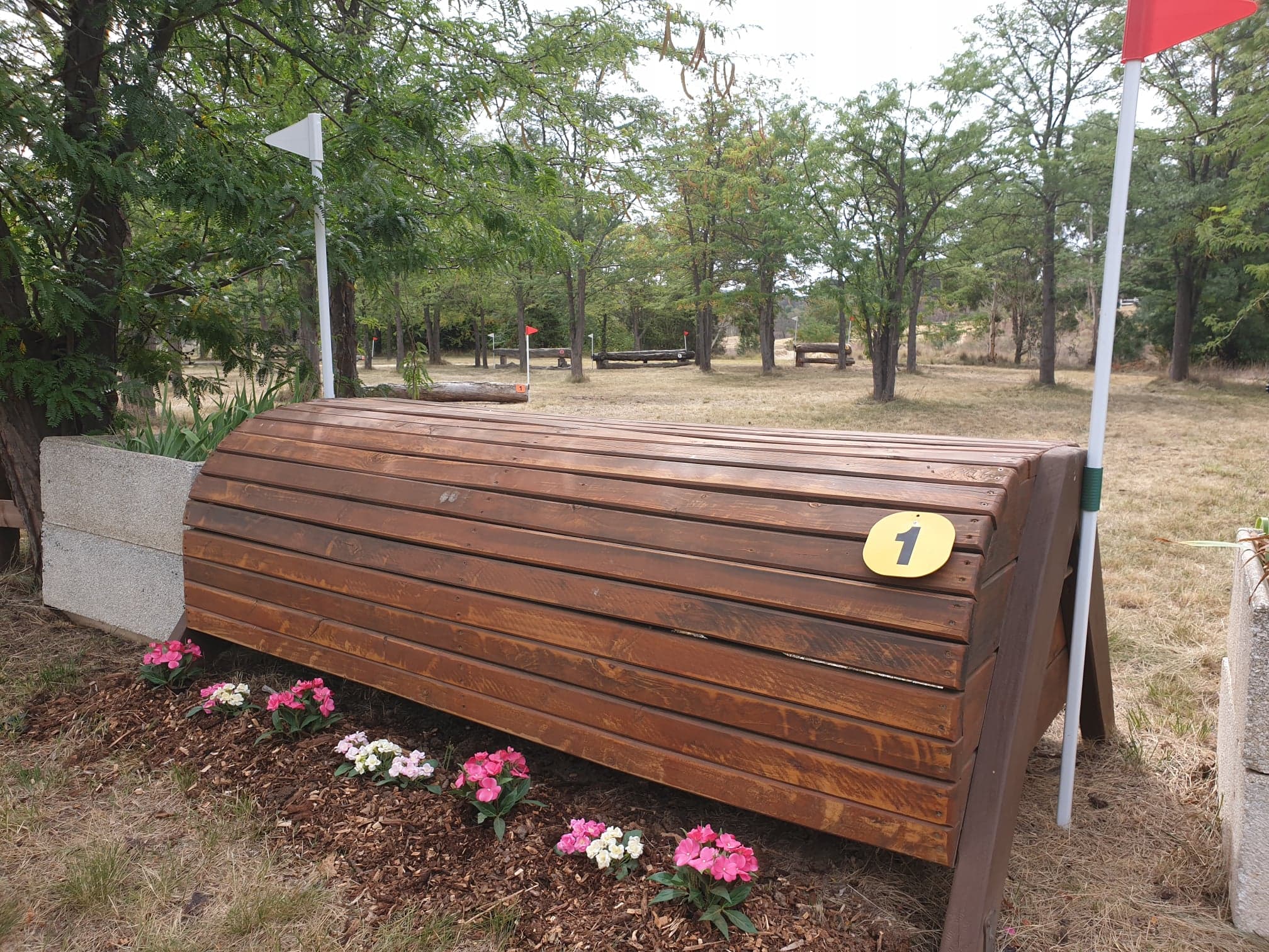 54278054_2269072343417052_2976693450327457792_n