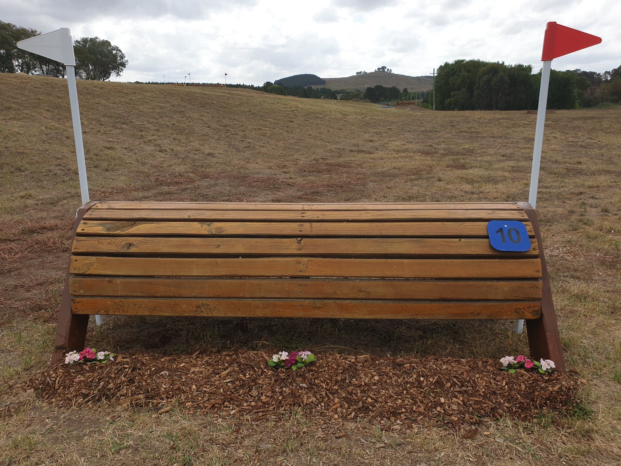 54415277_2358373177506325_1851641580482461696_n